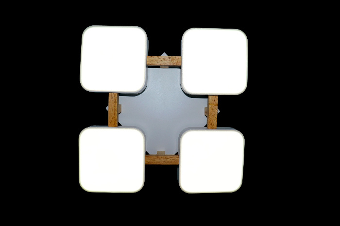 Потолочная люстра LED LED LAMPS 81323