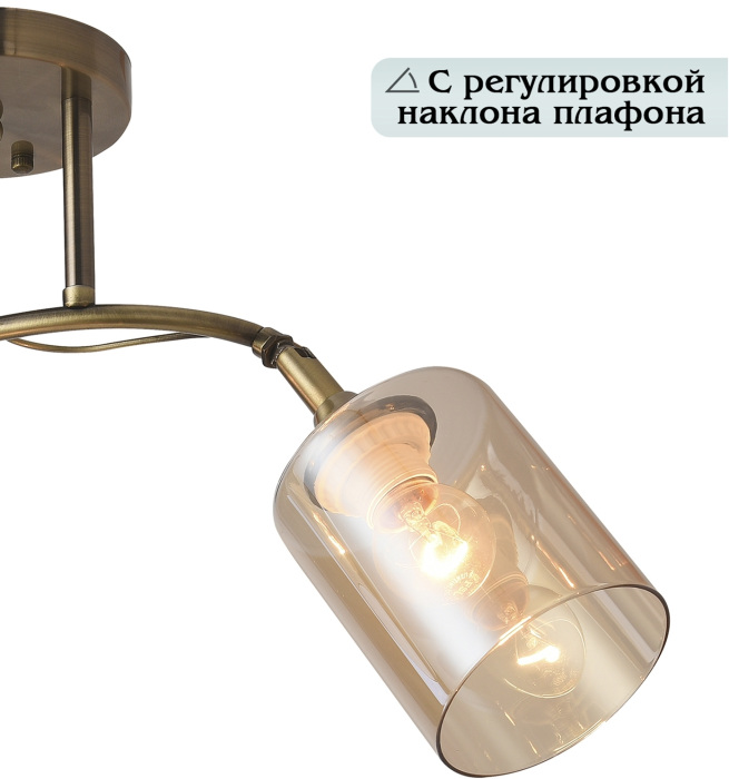 Потолочная люстра Taylor 81452/2W